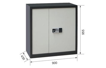 Our company recently launched Electronic lock cabinet
